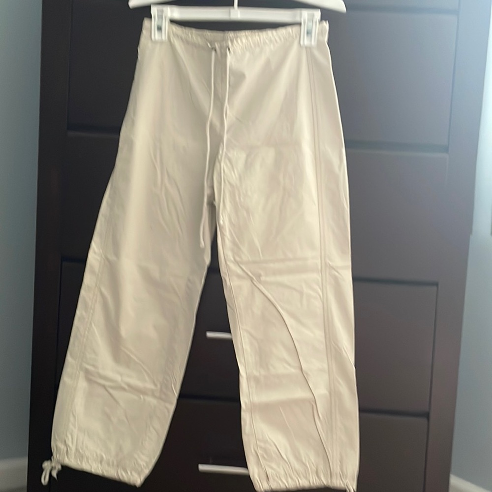 The Limited Nylon Pants